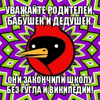 уважайте родителей, бабушек и дедушек. они закончили школу без гугла и википедии!, Мем Омская птица