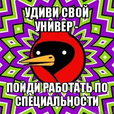 удиви свой универ - пойди работать по специальности