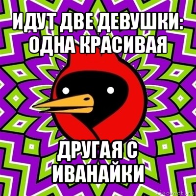 идут две девушки: одна красивая другая с иванайки, Мем Омская птица