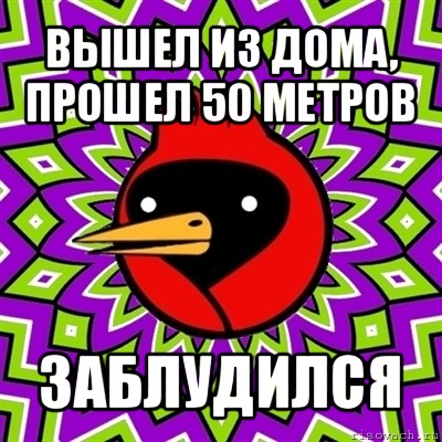 вышел из дома, прошел 50 метров заблудился, Мем Омская птица