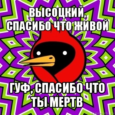 высоцкий, спасибо что живой гуф, спасибо что ты мертв, Мем Омская птица