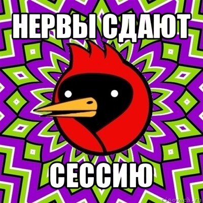 нервы сдают сессию