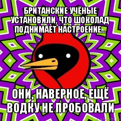 британские учёные установили, что шоколад поднимает настроение... они, наверное, ещё водку не пробовали, Мем Омская птица