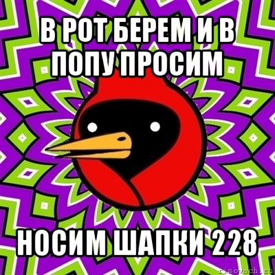 в рот берем и в попу просим носим шапки 228, Мем Омская птица