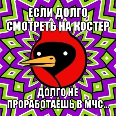 если долго смотреть на костер долго не проработаешь в мчс..., Мем Омская птица