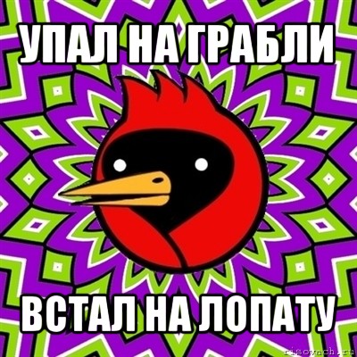 упал на грабли встал на лопату, Мем Омская птица