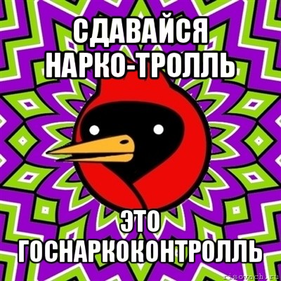 сдавайся нарко-тролль это госнаркоконтролль, Мем Омская птица