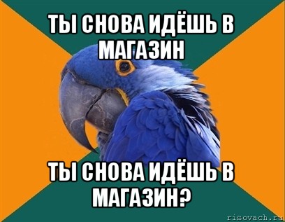 ты снова идёшь в магазин ты снова идёшь в магазин?, Мем Попугай параноик