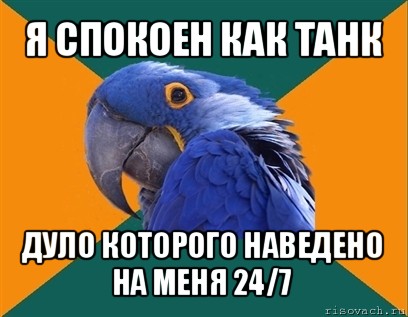 я спокоен как танк дуло которого наведено на меня 24/7, Мем Попугай параноик