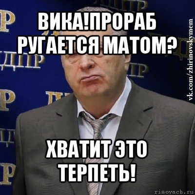 вика!прораб ругается матом? хватит это терпеть!, Мем Хватит это терпеть (Жириновский)