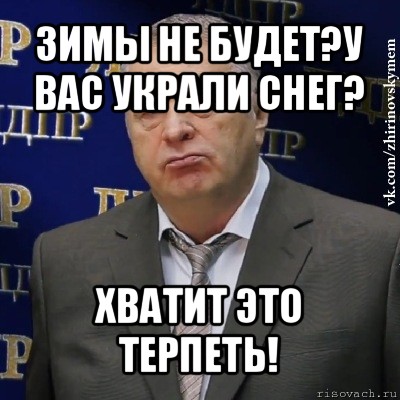 зимы не будет?у вас украли снег? хватит это терпеть!, Мем Хватит это терпеть (Жириновский)