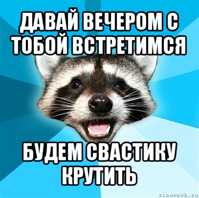 давай вечером с тобой встретимся будем свастику крутить, Мем Енот-Каламбурист