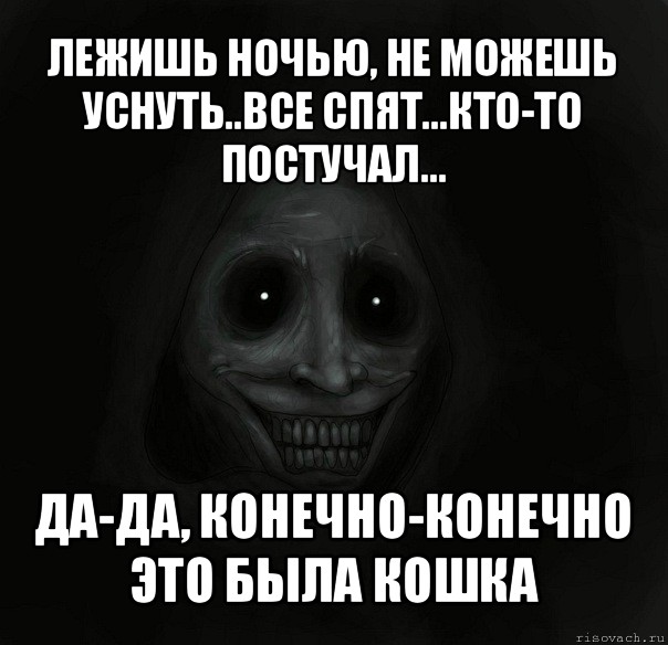 лежишь ночью, не можешь уснуть..все спят...кто-то постучал... да-да, конечно-конечно это была кошка, Мем Ночной гость