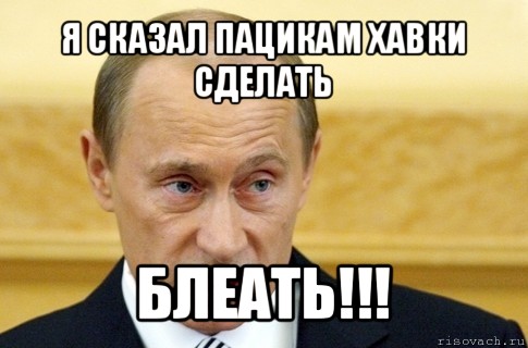 я сказал пацикам хавки сделать блеать!!!, Мем путин