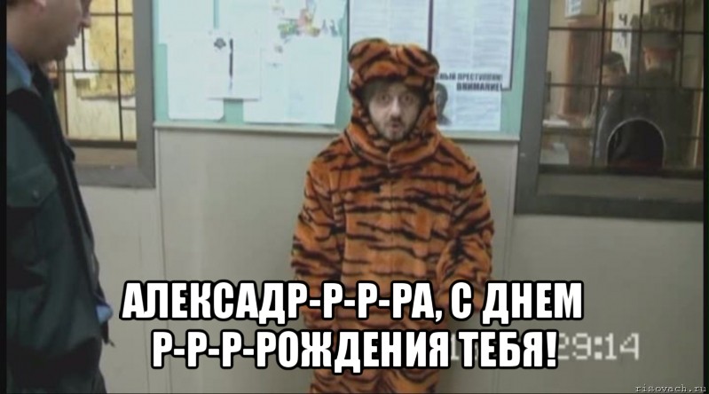  алексадр-р-р-ра, с днем р-р-р-рождения тебя!, Мем Бородач в костюме тигра (Наша Раша)