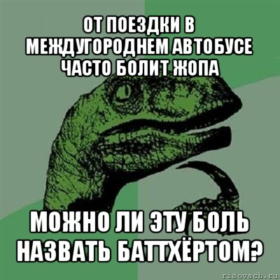 от поездки в междугороднем автобусе часто болит жопа можно ли эту боль назвать баттхёртом?, Мем Филосораптор