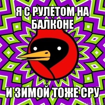 я с рулетом на балконе и зимой тоже сру, Мем Омская птица