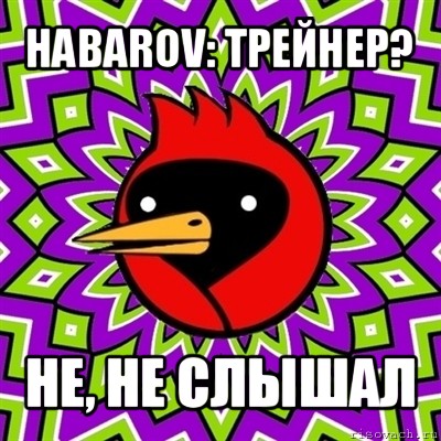 habarov: трейнер? не, не слышал, Мем Омская птица