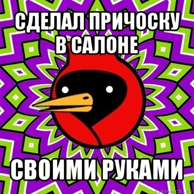 сделал причоску в салоне своими руками, Мем Омская птица