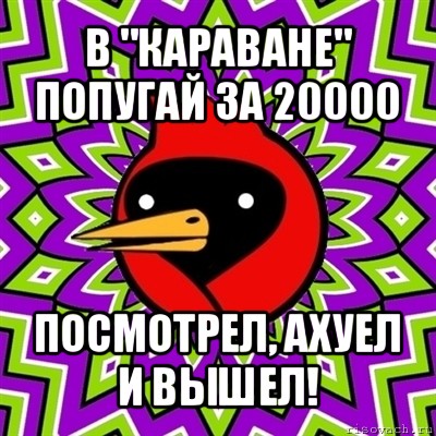 в "караване" попугай за 20000 посмотрел, ахуел и вышел!, Мем Омская птица