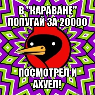 в "караване" попугай за 20000 посмотрел и ахуел!, Мем Омская птица