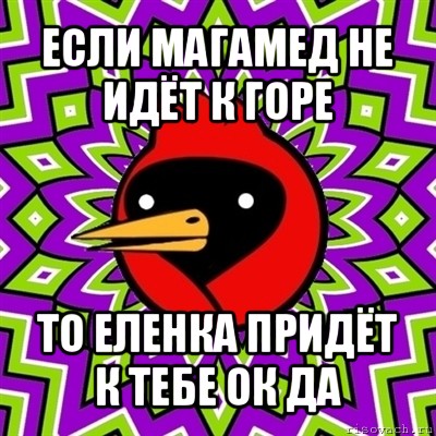 если магамед не идёт к горе то еленка придёт к тебе ок да, Мем Омская птица