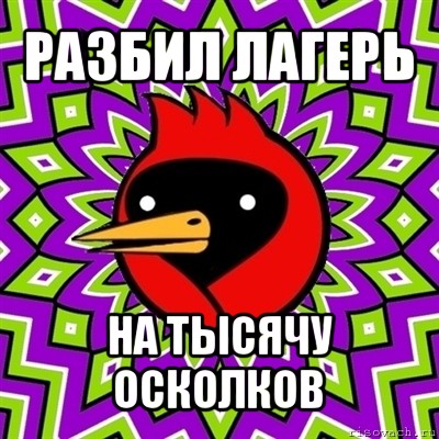 разбил лагерь на тысячу осколков, Мем Омская птица