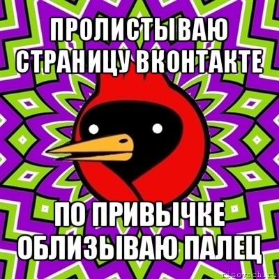 пролистываю страницу вконтакте по привычке облизываю палец, Мем Омская птица