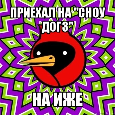 приехал на "сноу догз" на иже, Мем Омская птица