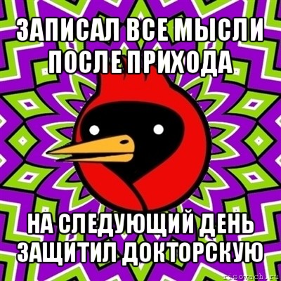 записал все мысли после прихода на следующий день защитил докторскую, Мем Омская птица