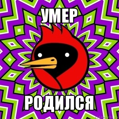 умер родился, Мем Омская птица