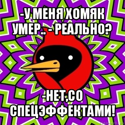 -у меня хомяк умер.. - реально? -нет,со спецэффектами!, Мем Омская птица