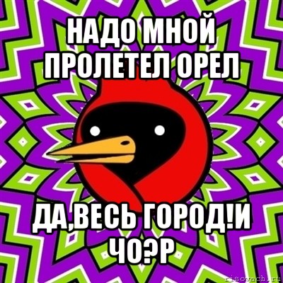 надо мной пролетел орел да,весь город!и чо?р, Мем Омская птица