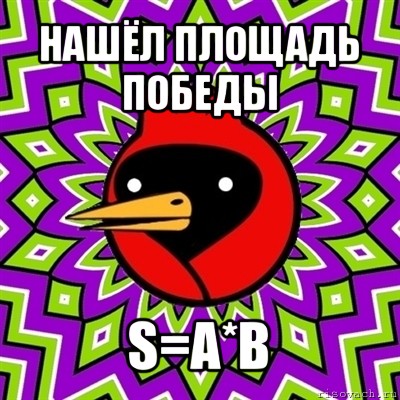 нашёл площадь победы s=a*b, Мем Омская птица