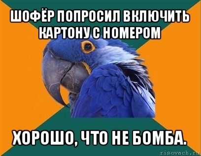 шофёр попросил включить картону с номером хорошо, что не бомба., Мем Попугай параноик