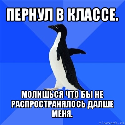 пернул в классе. молишься что бы не распространялось далше меня., Мем  Социально-неуклюжий пингвин