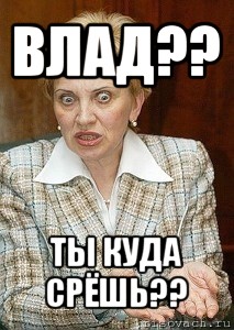 влад?? ты куда срёшь??, Мем Судья Егорова