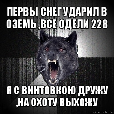 первы снег ударил в оземь ,все одели 228 я с винтовкою дружу ,на охоту выхожу, Мем Сумасшедший волк