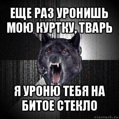 еще раз уронишь мою куртку, тварь я уроню тебя на битое стекло, Мем Сумасшедший волк