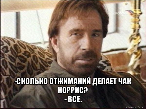  -сколько отжиманий делает чак норрис?
- все.