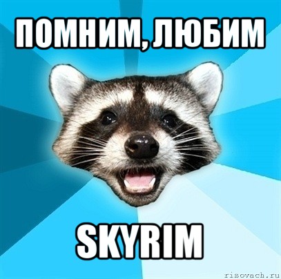 помним, любим skyrim, Мем Енот-Каламбурист