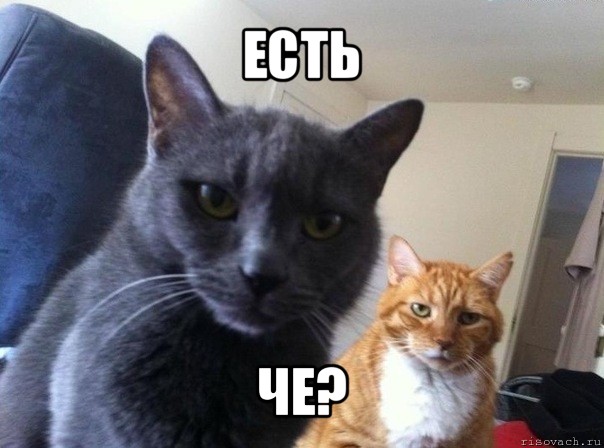 есть че?