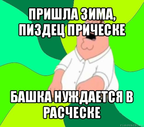 пришла зима, пиздец прическе башка нуждается в расческе, Мем  Да всем насрать (Гриффин)