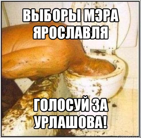 выборы мэра ярославля голосуй за урлашова!