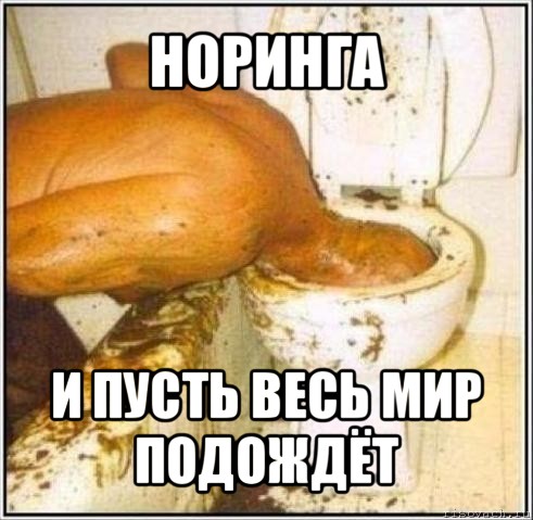 норинга и пусть весь мир подождёт