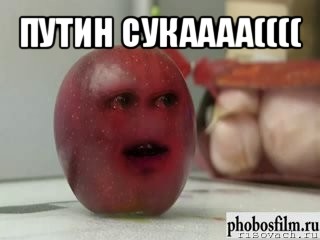 путин сукаааа(((( 