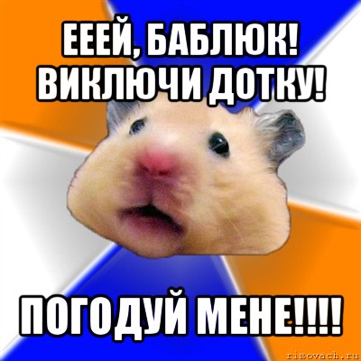 ееей, баблюк! виключи дотку! погодуй мене!!!, Мем Хомяк