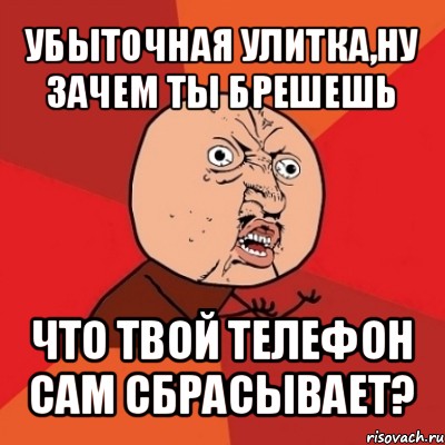 убыточная улитка,ну зачем ты брешешь что твой телефон сам сбрасывает?, Мем Почему