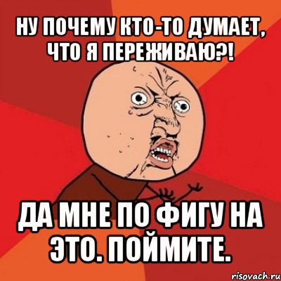 ну почему кто-то думает, что я переживаю?! да мне по фигу на это. поймите., Мем Почему