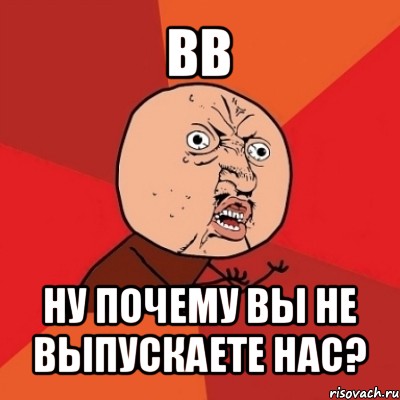 вв ну почему вы не выпускаете нас?, Мем Почему